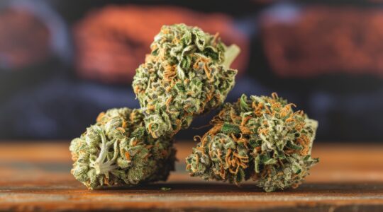 CBD-P ou T10