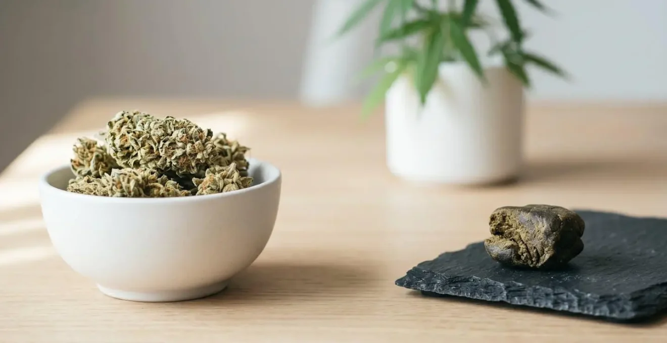 Table en bois clair avec fleurs de CBD séchées dans une coupelle blanche à gauche et résine de CBD compactée sur ardoise noire à droite, plante de chanvre en arrière-plan flou