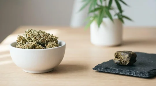 Table en bois clair avec fleurs de CBD séchées dans une coupelle blanche à gauche et résine de CBD compactée sur ardoise noire à droite, plante de chanvre en arrière-plan flou